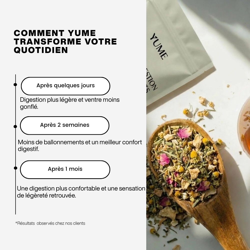 Infusion Naturelle Digestion et Ballonnements